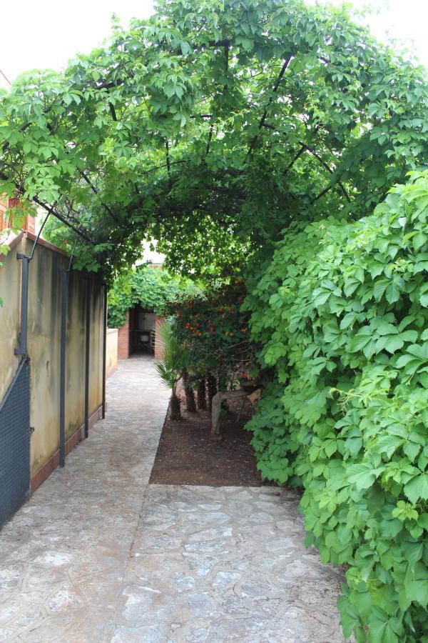 Villa Fede & Niki San Vito Lo Capo Exterior photo